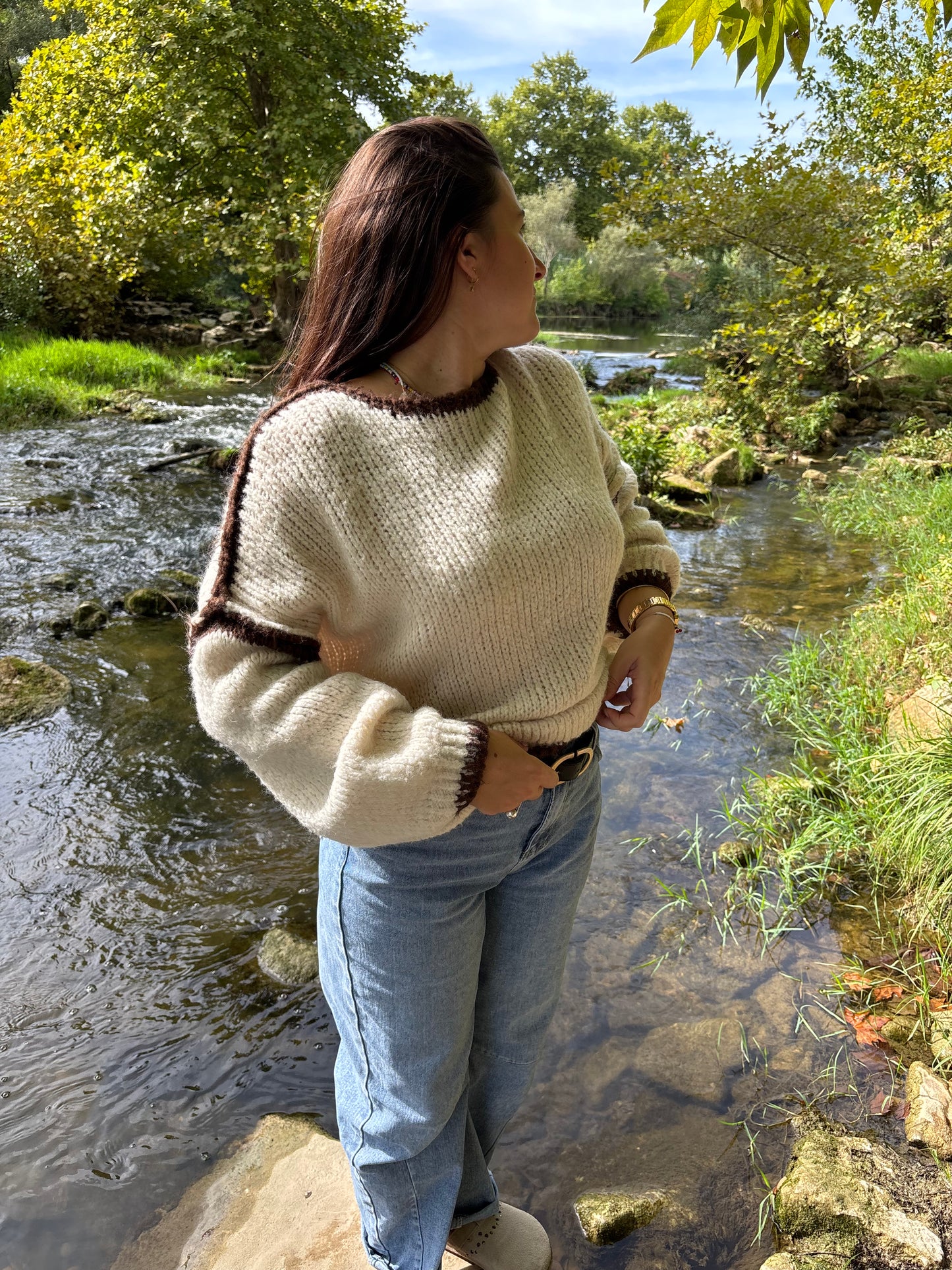 Pull Swan beige