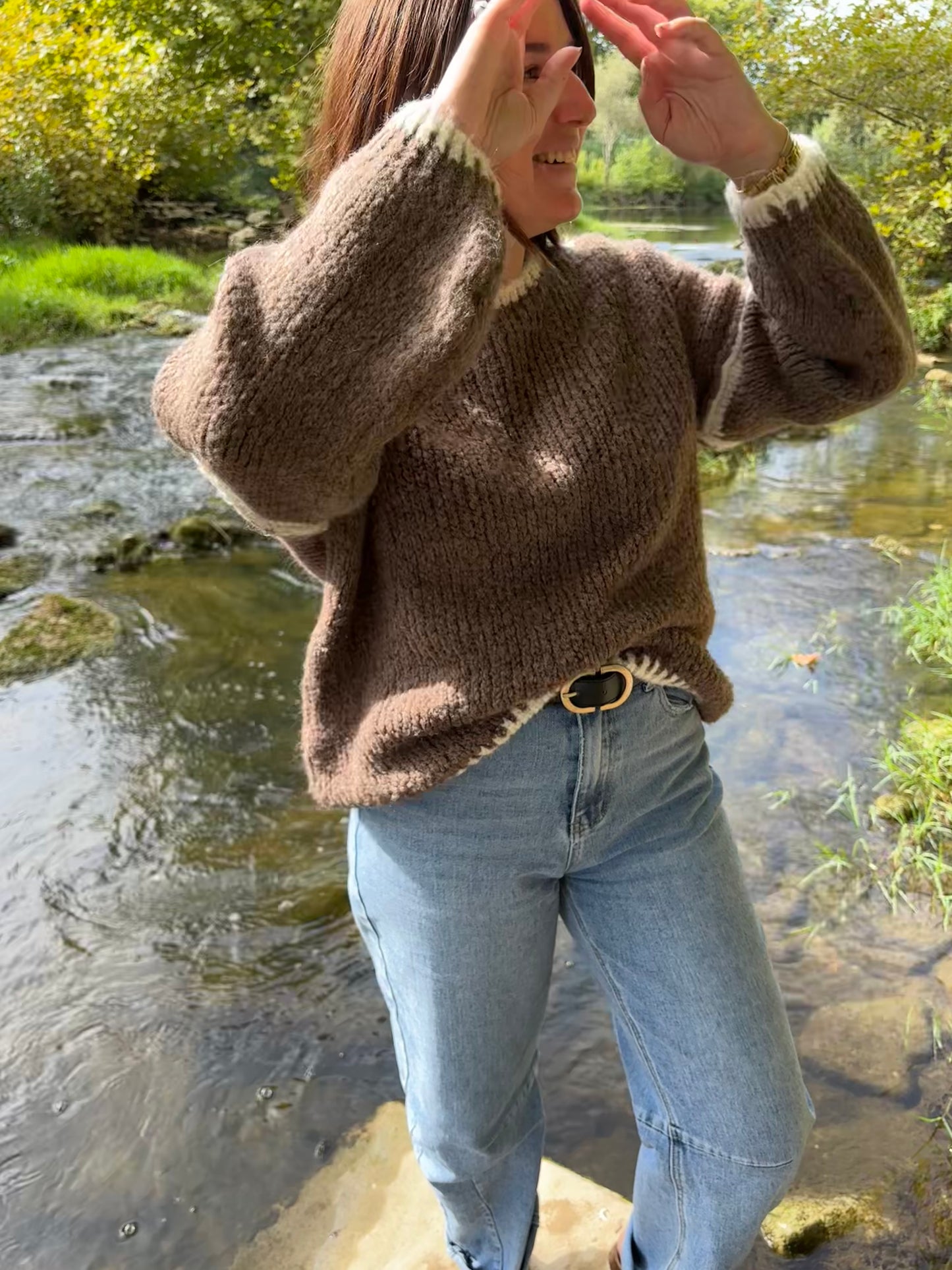 Pull Swan marron