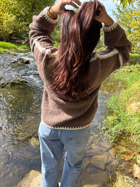 Pull Swan marron